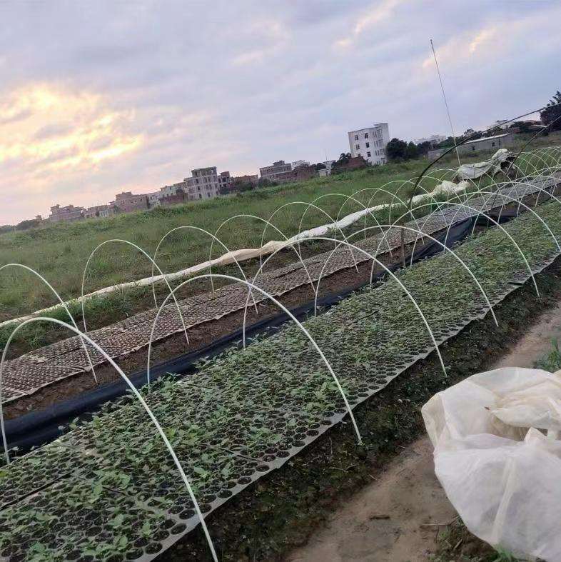 Thanh nan sợi thủy tinh FRP đúc đặc siêu dẻo dai